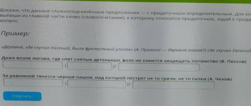 Докажи, что данные сложноподчинённые предложения — с придаточным определительным. Для этого выпиши и