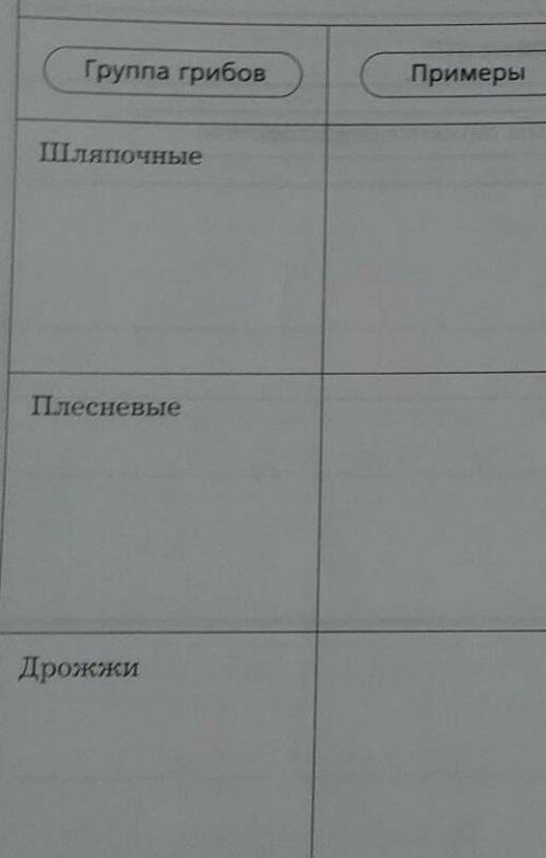 Какие виды дрожжевых грибов существуют?ТОЛЬКО ДРОЖЖИ​