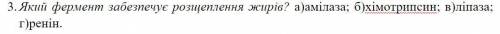 Який фермент забезпечує розщеплення жирів!?