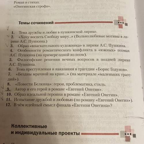 Напишите сочинение по Евгению Онегину по одной из тем. Не менее 100 слов.