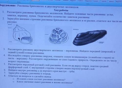 решить лобараторную работу ​