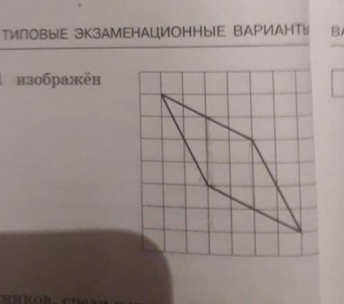 ЕГЭ профиль 3 задание. Найти площадь РОМБА.​