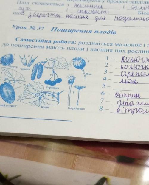 Дата 3Урок № 37 Поширення плодівСамостійна робота: роздивіться малюнок і позначте, які пристосування