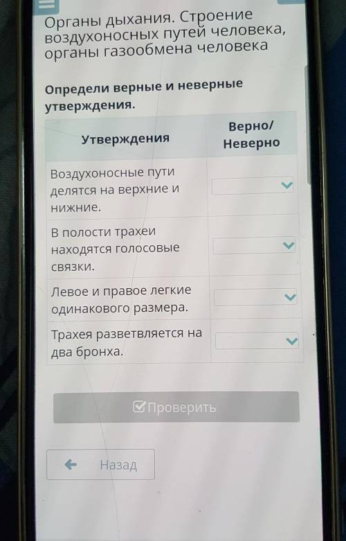 Определи верные и неверные утверждения.УтвержденияВерно/НеверноВоздухоносные путиделятся на верхние