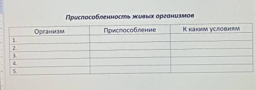 У МЕНЯ САМОСТОЯТЕЛЬНАЯ РАБОТА‼️​