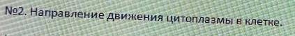 Направление движения цитоплазмы в клетке,зарисовать клетку и показать движение цитоплазмы по часовой
