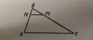 В треугольнике ABC отрезок NM параллелен стороне AC. Известно, что AB=18 см. Если CM : MB=7 : 2. Най