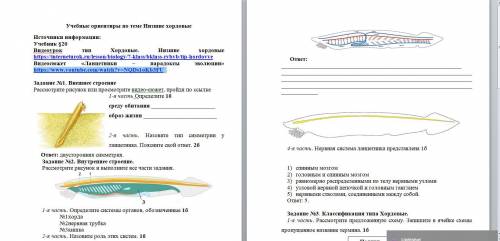 Задание №1. Внешнее строение Рассмотрите рисунок или просмотрите видео-сюжет, пройдя по ссылке 1-я ч