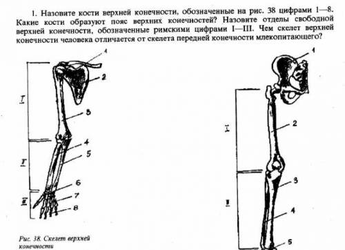 с первым заданием плз