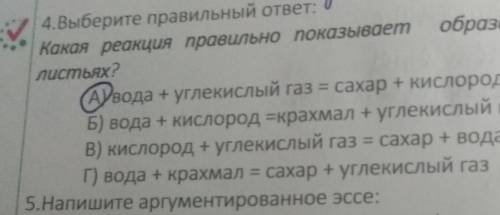 какая реакция правильно показывает образование органических веществ в листьях то что я отметила непр