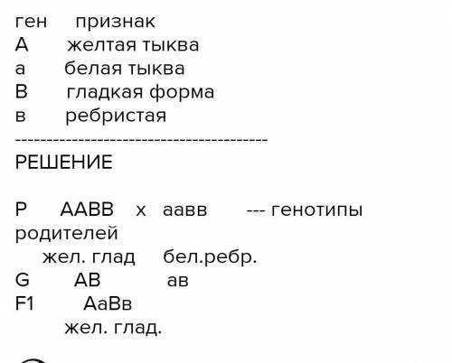 Напишите генотип у желтых гладких белых цветков