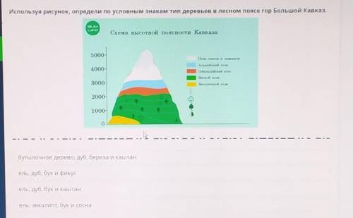 УМОЛЯЮ Используя рисунок Определи по условным знаком тех деревьев в Лесном поясе гор Большой Кавказ.