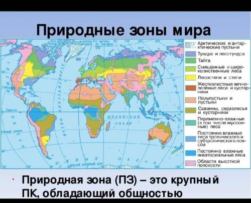 Задание.Охарактеризуйте зон тундры и вечнозеленые тропические леса Евразии по плану: 1.географическо