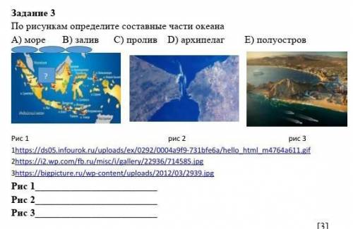 По рисунку определите составные части океана ​