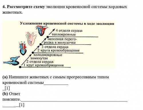 .Незнаете не отвечайте​