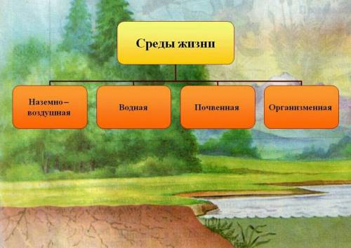 Приведите по 2 примера животных и по 2 примера растений, обитающие в данных средах​