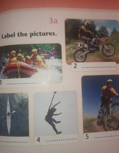 3a. Label the pictures ​