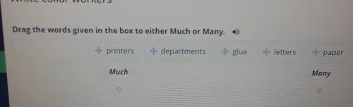 Drag the words given in the box to either Much or Many. • printersdepartments+ glueletterspaperMuchM