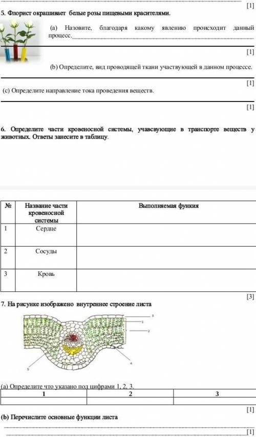 Ребт СОЧ за 2 четверть, 7 класс