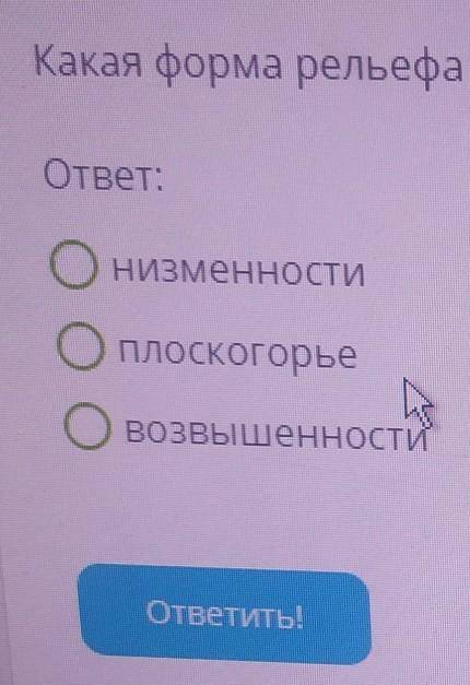 Какая форма рельефа в Африке встречается только по побережья и в долинах рек​