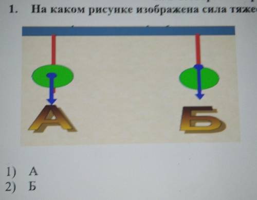 1.На каком рисунке изображенасена сила тяжести?--1) А2) Б​