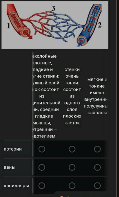 1) Ежегодно детям, которые идут в первый класс делают прививки от кори, краснухи и ветряной оспы. С