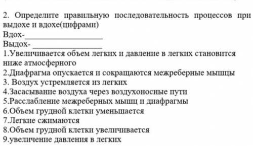 Определите правильную последовательность процессов при выдохе и вдохе