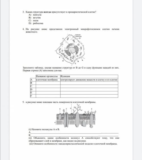 с биологией задания 2, 4 и 5