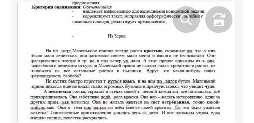 Предположите, какой цветок увидел главный герой, когда лепестки раскрылись. Опишите его. Запишите св