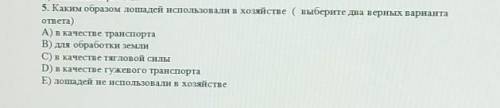 5. Каким образом лошадей использовали в хозяйстве ( выберите два верных варианта ответа)А) в качеств