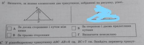 определите, по каким элементами два треугольника, изображенные на картинке равные