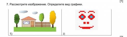 Рассмотрите изображение. Определите вид графики​