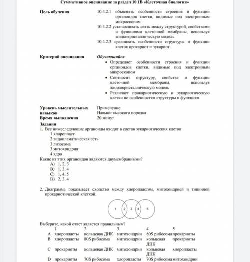 Диаграмма показывает сходство между хлоропластом, митохондрией и типичной прокариотической клеткой