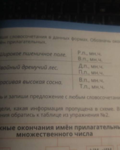 Запиши словосочетания в данных формах обозначь окончания имён прилагательных широкие пшеничное поле