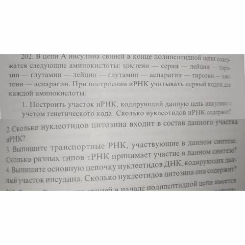 Генетический год номер пожайлуста