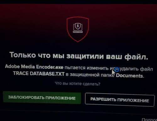 За что отвечает файл TRACE DATABASE.TXT в папке Documents?​