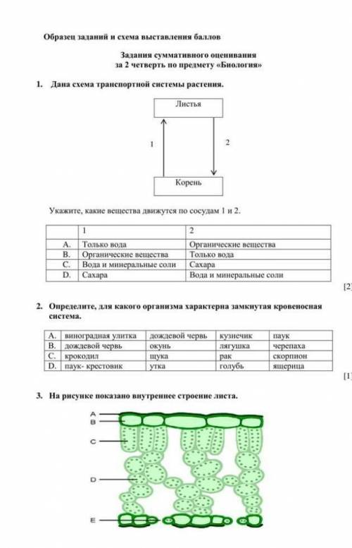 тоьько правильно если что попало БАН Заранее