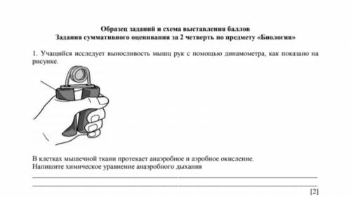 Учащийся исследует выносливость мышц рук с динамометра, как показано рисунке у меня соч))