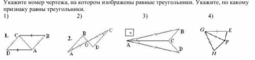 ХЕЛП ВСЁ ЗАДАНИЕ НА ФОТО