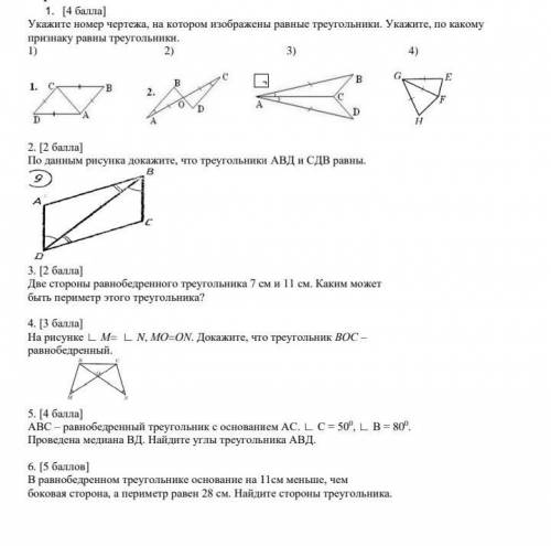 СОЧ по геометрии люди