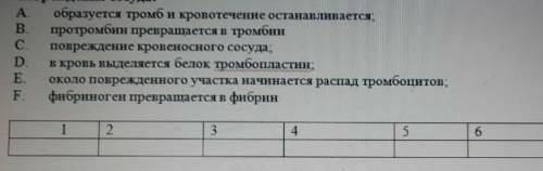 Установите правильную последовательность свертывания крови начиная с повреждение сосуда​