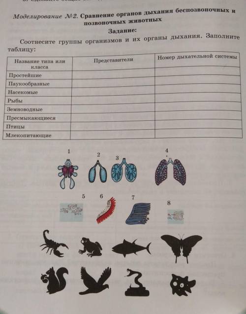 Соотнесите группы организмов и их органы дыхания. Заполните таблицу:Название типа иликлассаПредстави