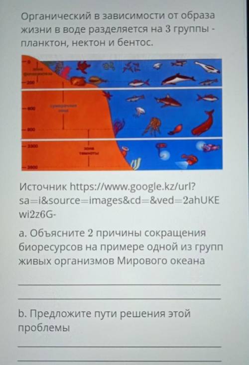 органические в зависимости от обзора жизни в воде разделяются на три группы планктон, нектон и бенто