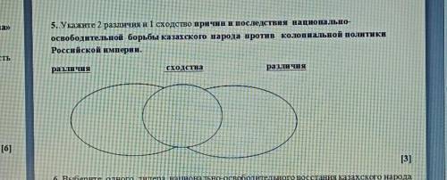 Укажите два различия одно сходство причин последствия национально-освободительная борьба казахского