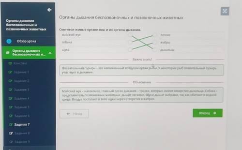 Вотных Соотнеси живые организмы и их органы дыхания.майский жуклегкиесобакажабрыщукаНИЯЫХ И...дыхаль