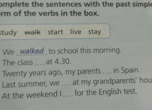 Complete the sentences wuth thw past simple form of the verbs in the box we ealked to school this mo