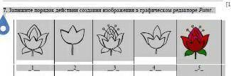 . Запишите порядок действии создания изображения в графическом редакторе Paint.  ПОМАГИТЕ помагите