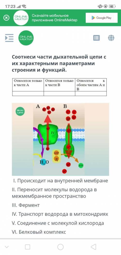 за правильный ответ кому не сложно мало вам что ли