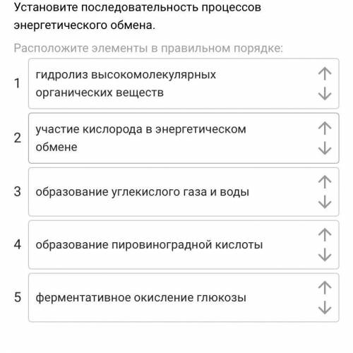 Установите последовательность процессов энергетического обмена.