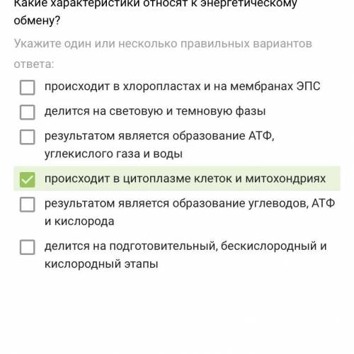 Какие характеристики относят к энергетическому обмену?